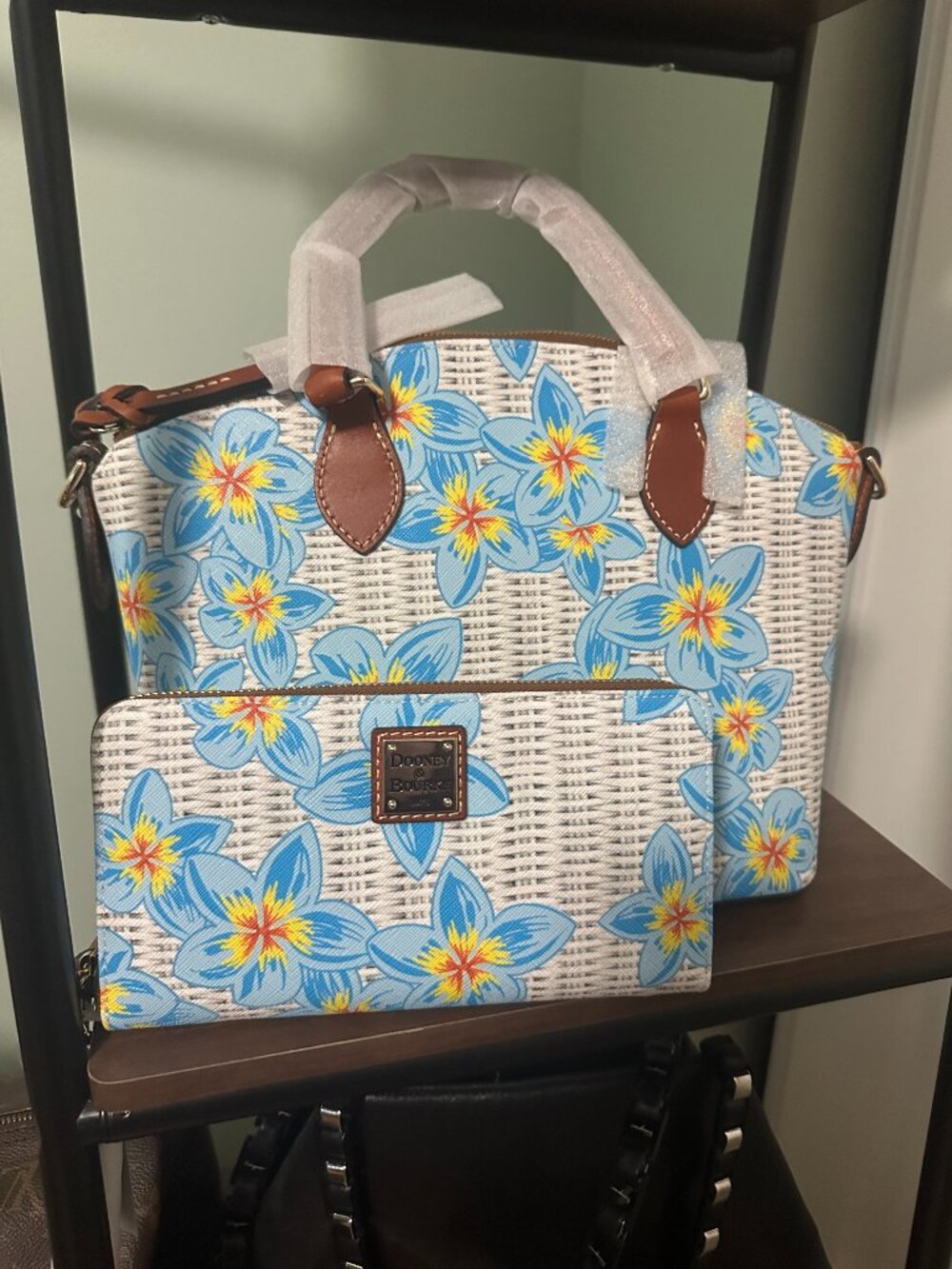 Dooney & Burke Picnic Bag and Wallet